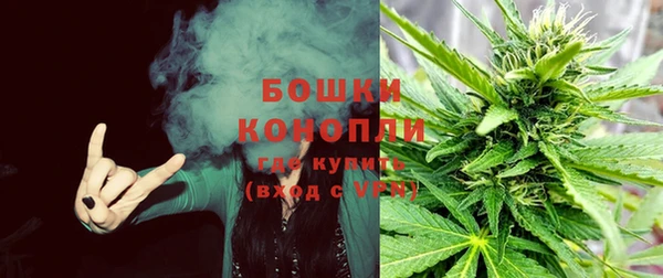2c-b Тавда