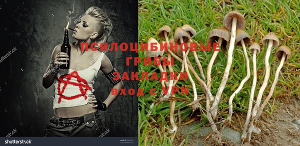 гашиш Белокуриха