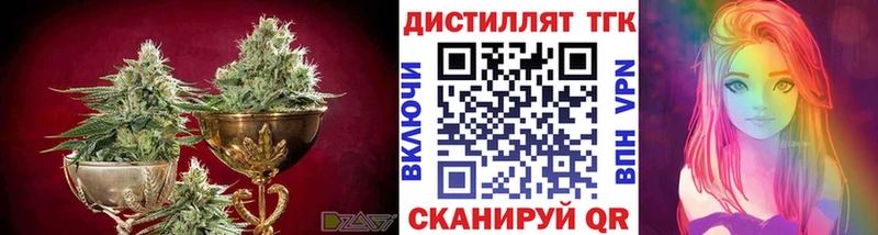 ТГК концентрат  Бородино 