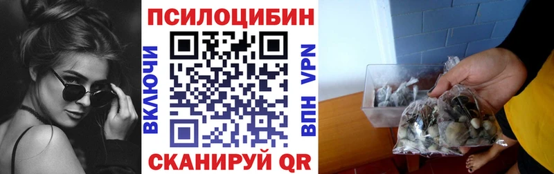 где купить наркотик Бородино Галлюциногенные грибы прущие грибы