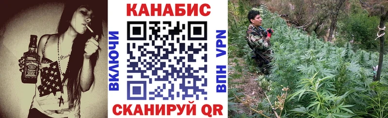 сколько стоит Бородино мега маркетплейс Конопля план